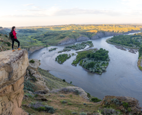 Visit Billings Spring Shoot