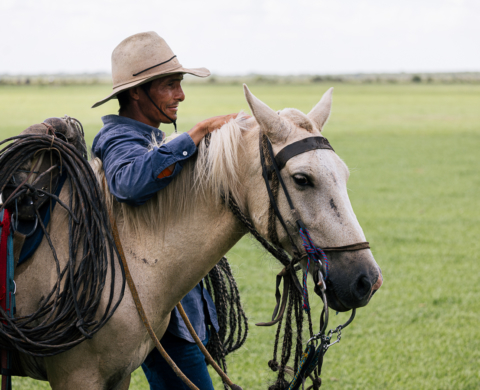 Colombian Tourism Board: Finding Encanto